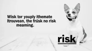 risk meaning